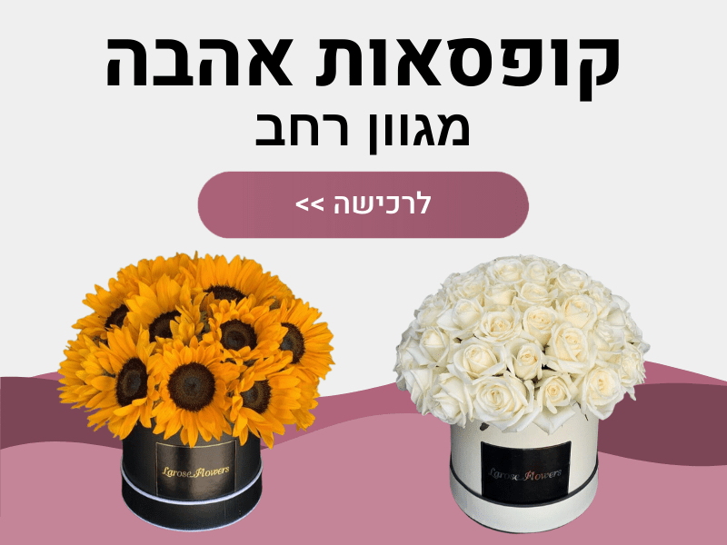 קופסאות אהבה