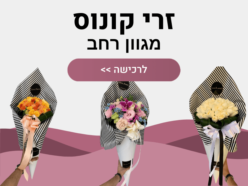 זרי קונוס