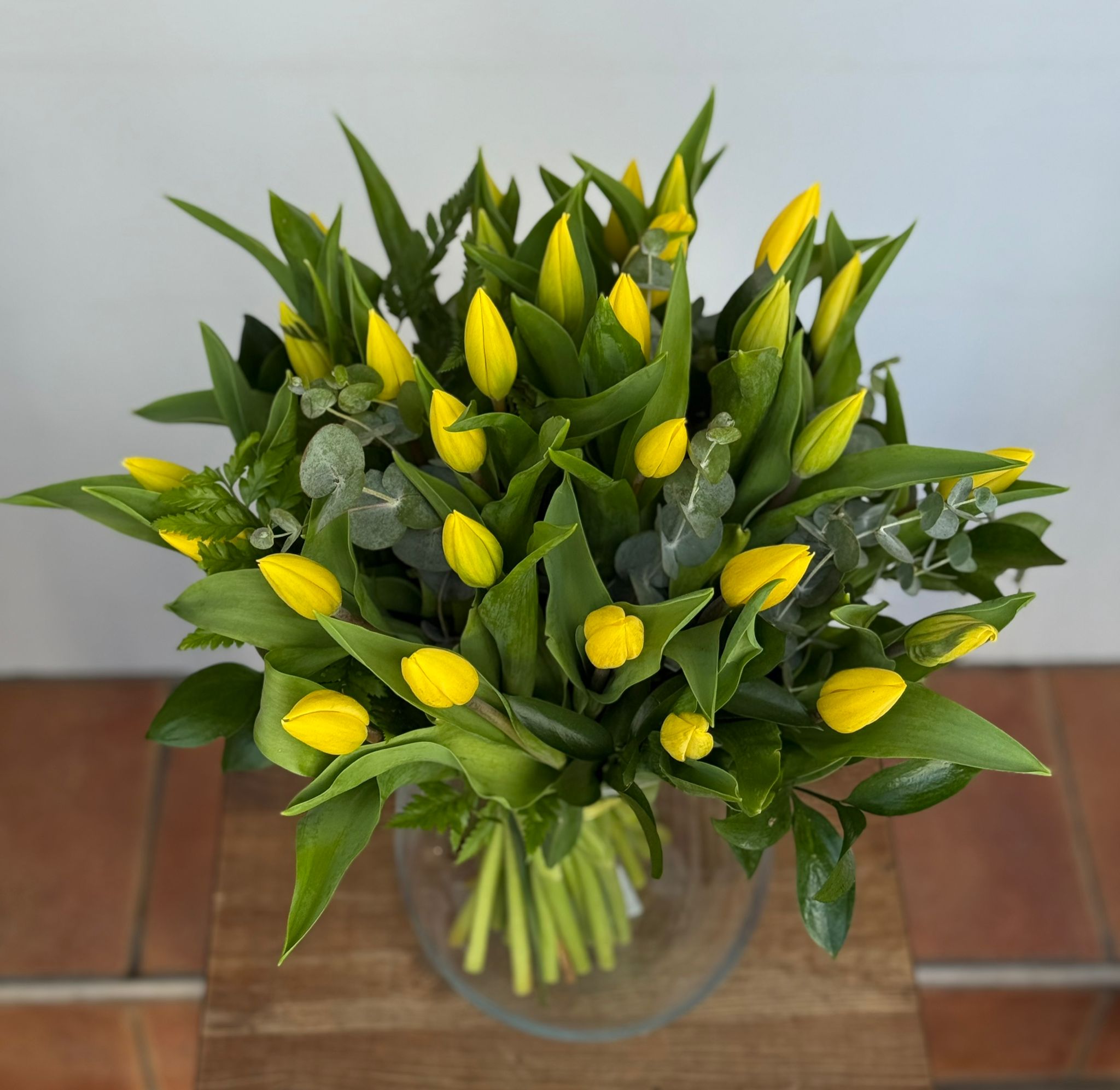 טוליפים צהובים טוליפים צהובים