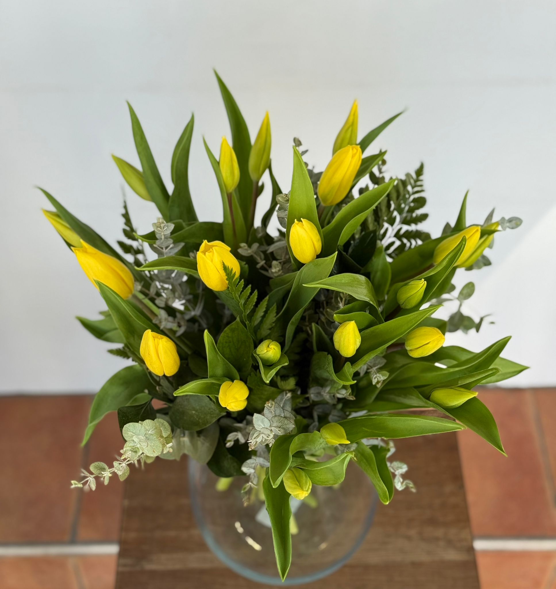 טוליפים צהובים  טוליפים צהובים