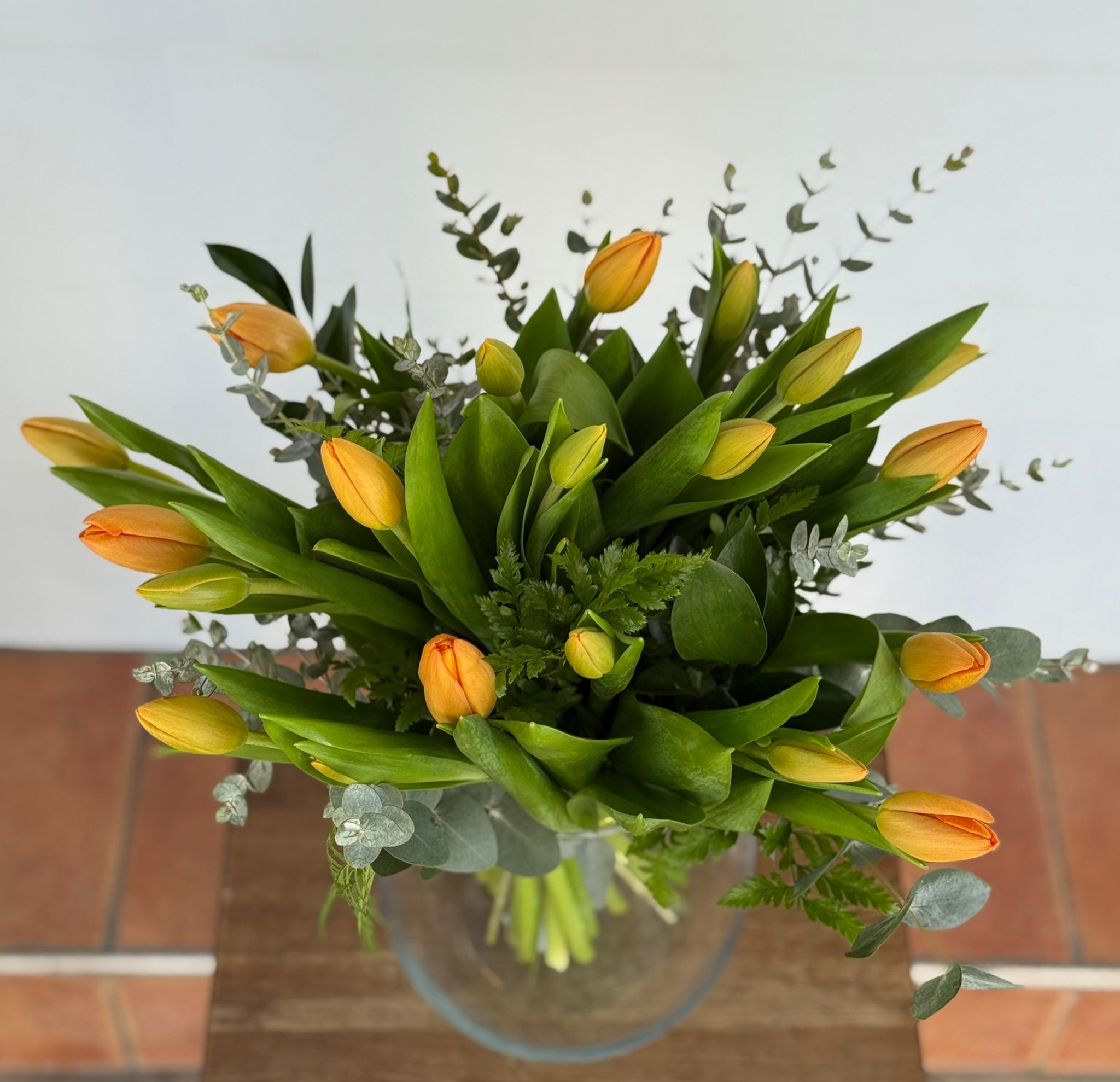 טוליפים כתומים  טוליפים כתומים