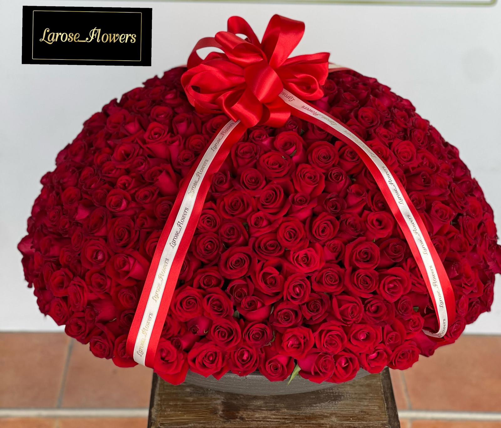500 �����🌹