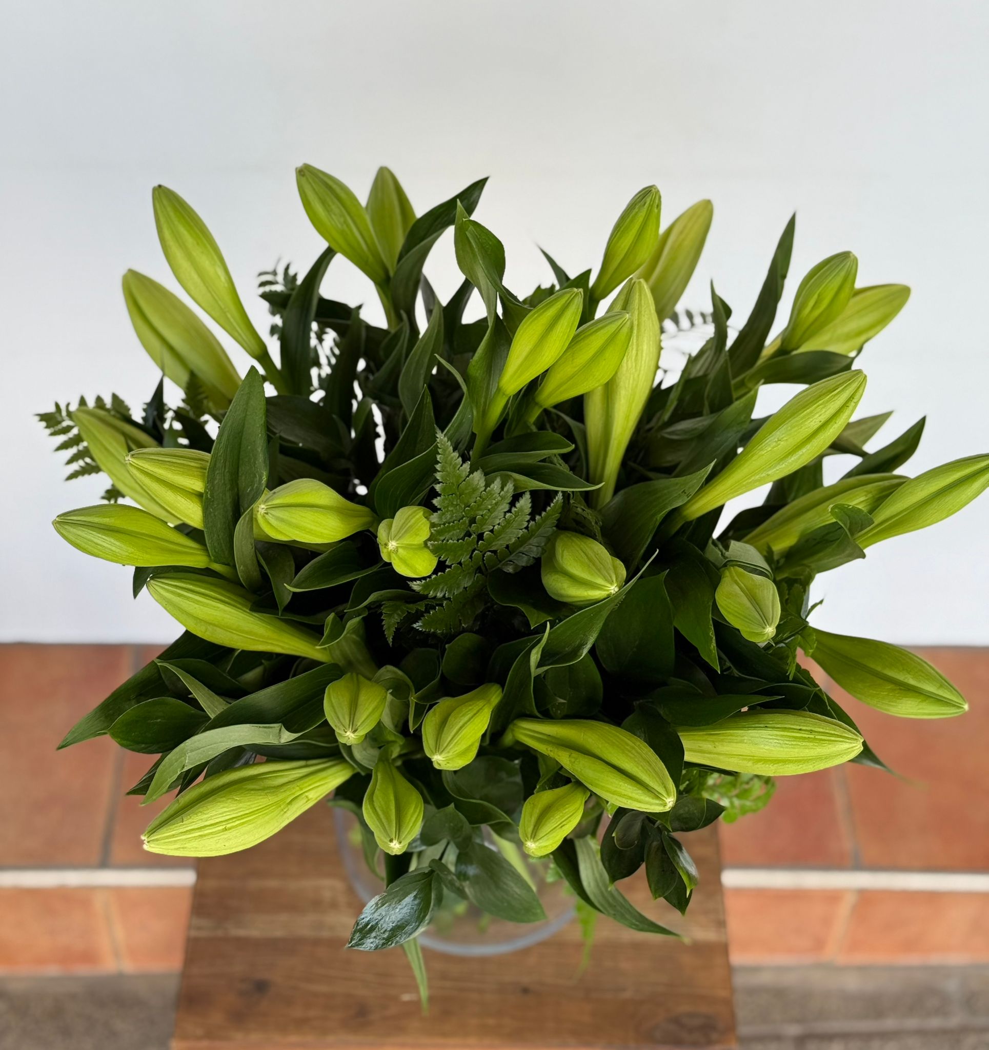 ���� ����