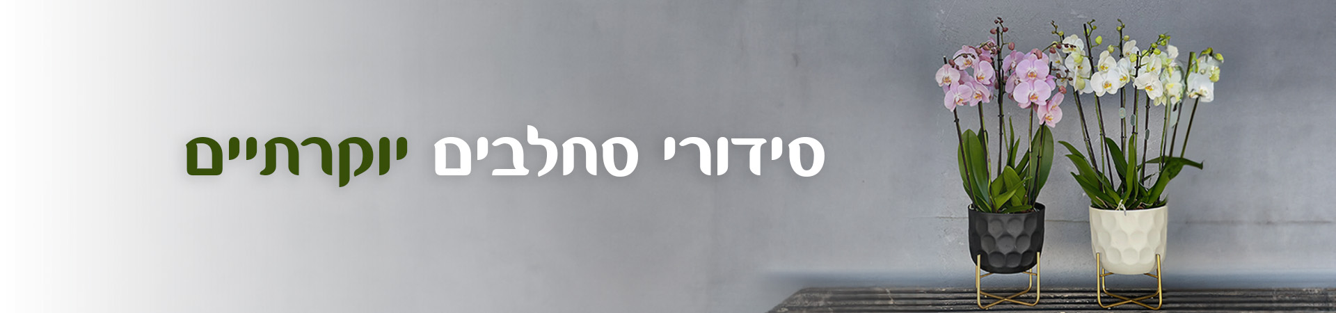 דף חדש
